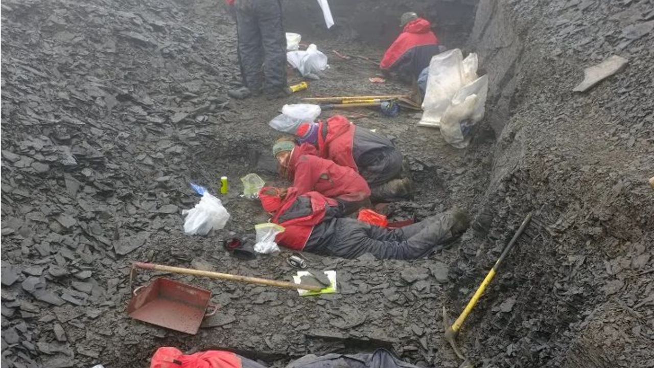 В Арктике нашли экосистему, которая грозит изменить взгляд на историю Земли