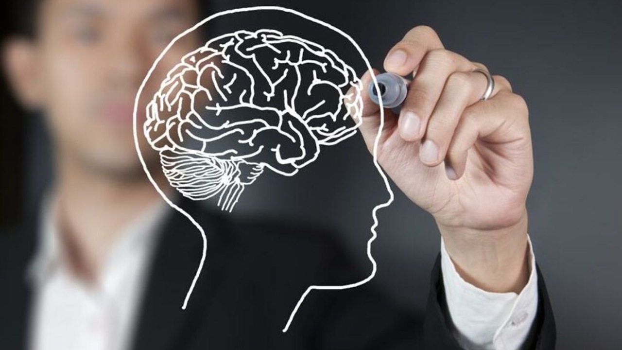 Учёные раскрыли механизм молекулярных «таймеров», которые управляют памятью