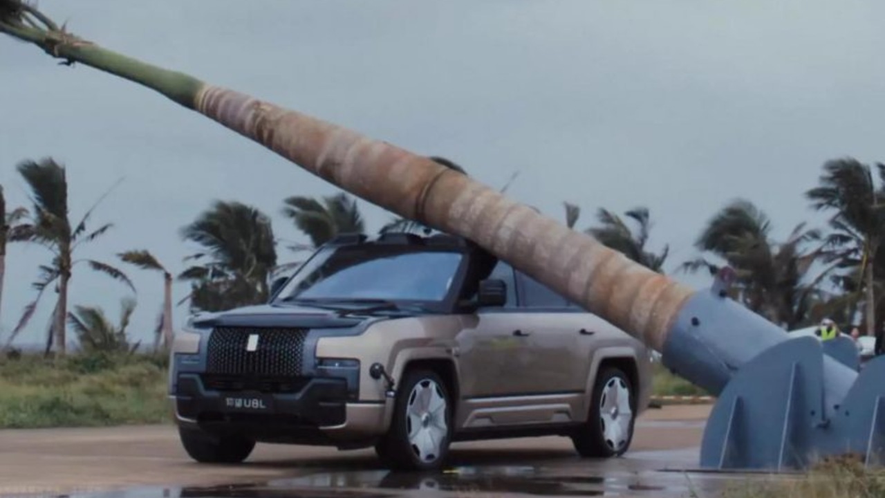 BYD прошел испытания: крыша внедорожника выдержала удар двухтонной пальмы